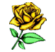 roseyellow