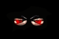 Nothing here just some eyes